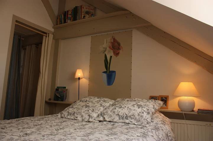 Appartement entier, Appartement de charme immeuble 19ème dans centre ville historique. in Vannes, Côte des Mégalithes