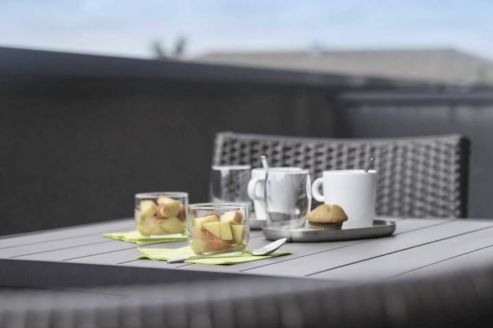 Hôtel pour 4 personnes, avec piscine et jardin dans Aeroport Toulouse - Blagnac - 3