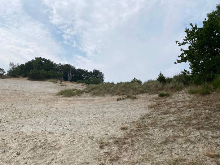 Ferienhaus für 10 Personen, mit Sauna und Pool sowie Garten in Mørkholt - 2