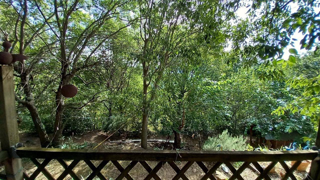 Appartement entier, La Libellule, piscine, climatisation, wifi, vue ,jardin ,parking in Le Vigan, Parc national des Cévennes