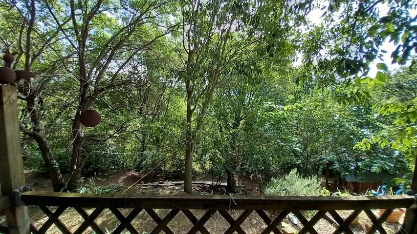 Gîte pour 2 personnes, avec piscine ainsi que vue et terrasse, animaux acceptés à Le Vigan - 4