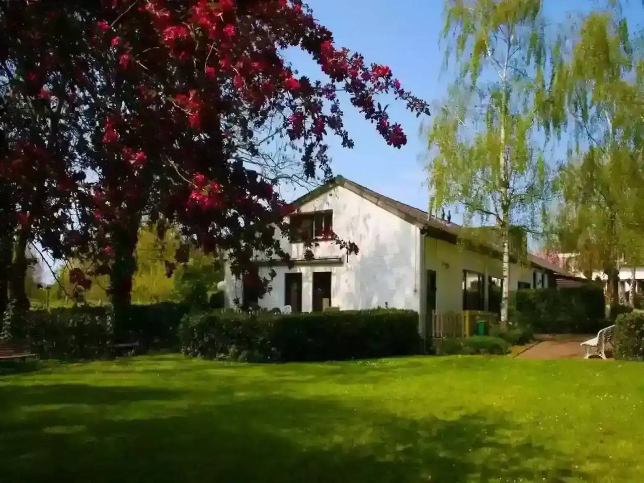 Beautifully situated 14 person group accommodation in South Limburg in Limburg (Netherlands)