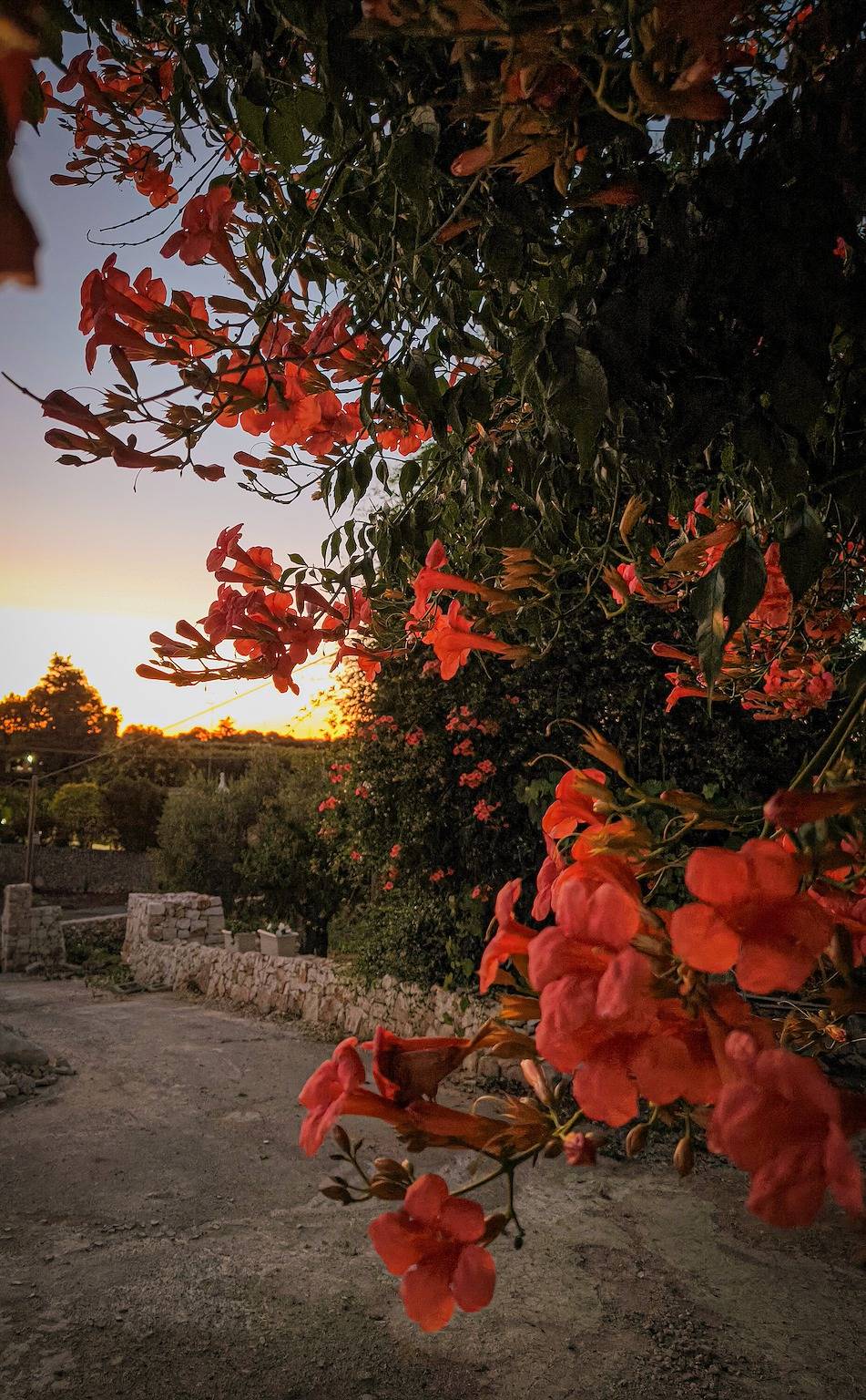 Entire apartment, Suite 'Masseria Latorre - la Dimora di Pietra' with Garden, Wi-Fi and Air Conditioning in Locorotondo, Bari Province