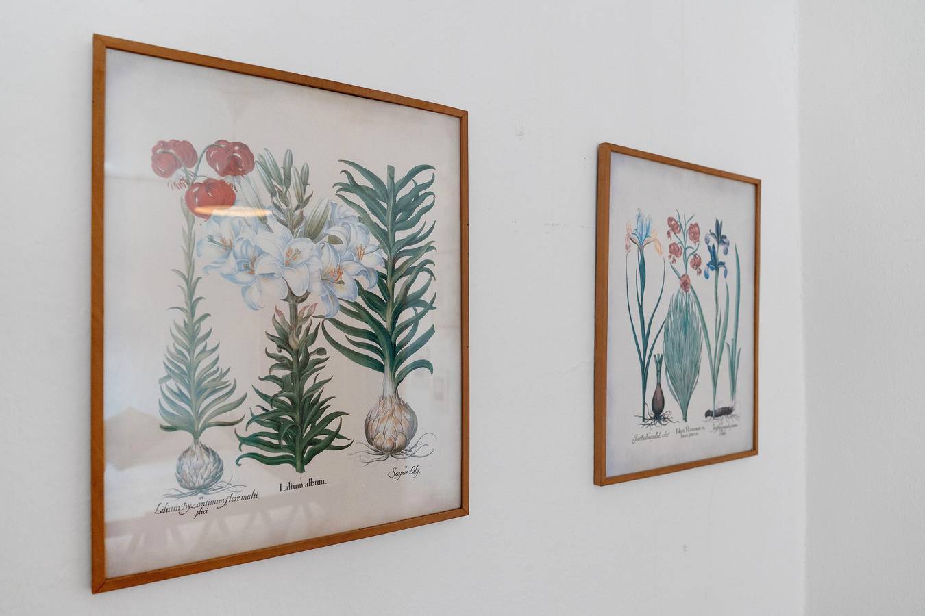 Camera 'Doppia 1' con vista mare e giardino in comune in Castiglione Chiavarese, Riviera di Levante