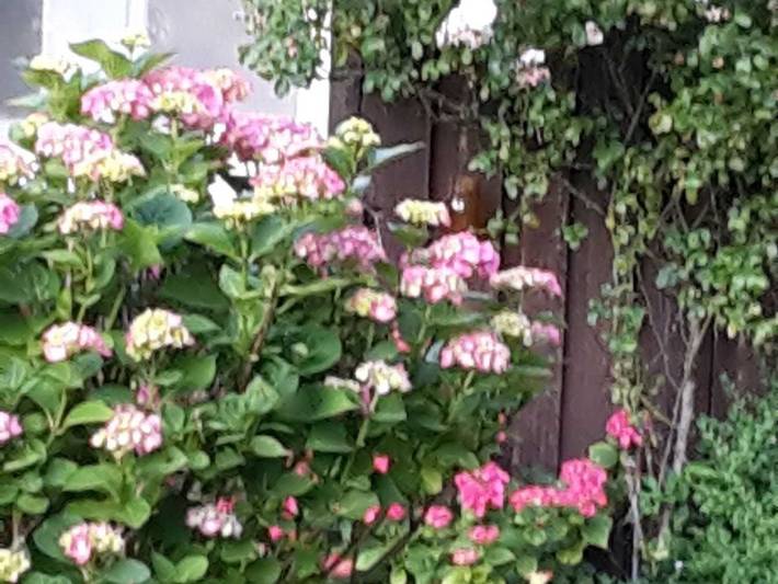 Ferienwohnung für 3 Personen, mit Garten, kinderfreundlich in Stoltebüll - 4