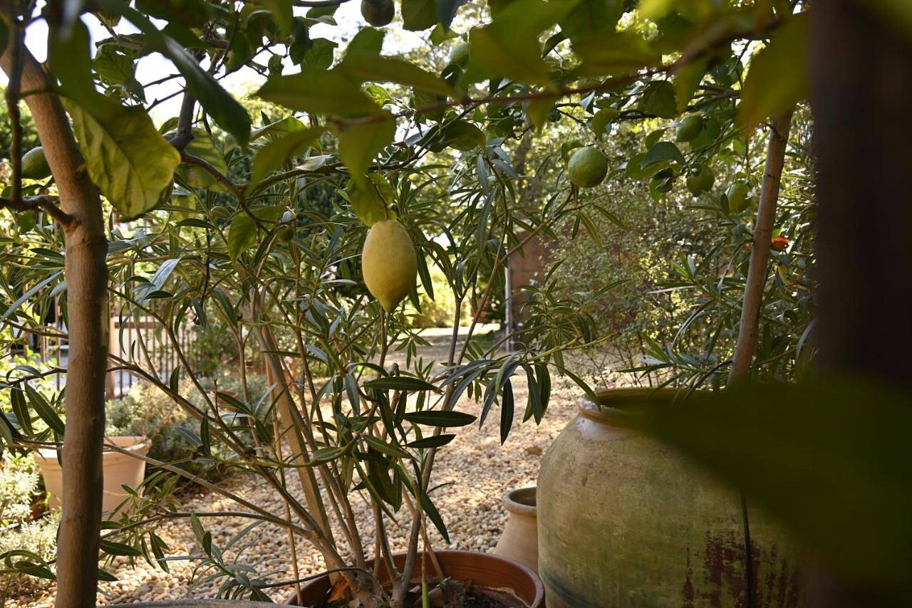 Bastide le Petit Clos - les 2 Gîtes in Perpignan, Mittelmeerküste (Frankreich)