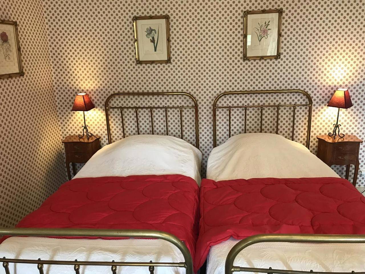 Bed and Breakfast - Château du Vau in Ballan-Miré, Région de Tours