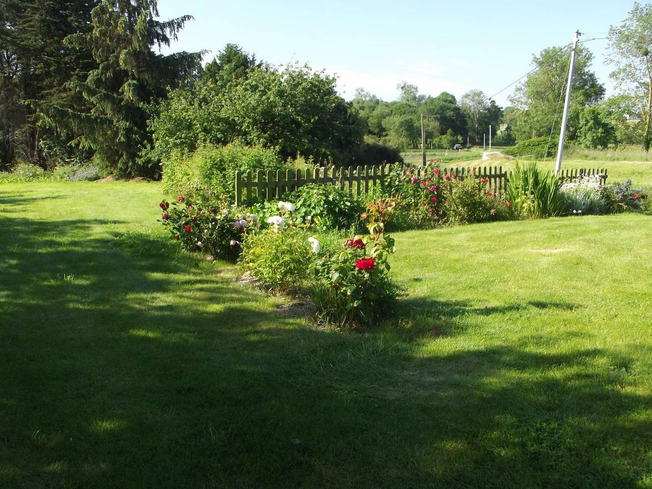 Le jardin, foto 8