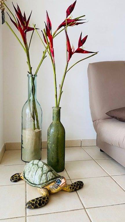 Gîte pour 4 personnes, avec balcon dans Anse Mitan - 3