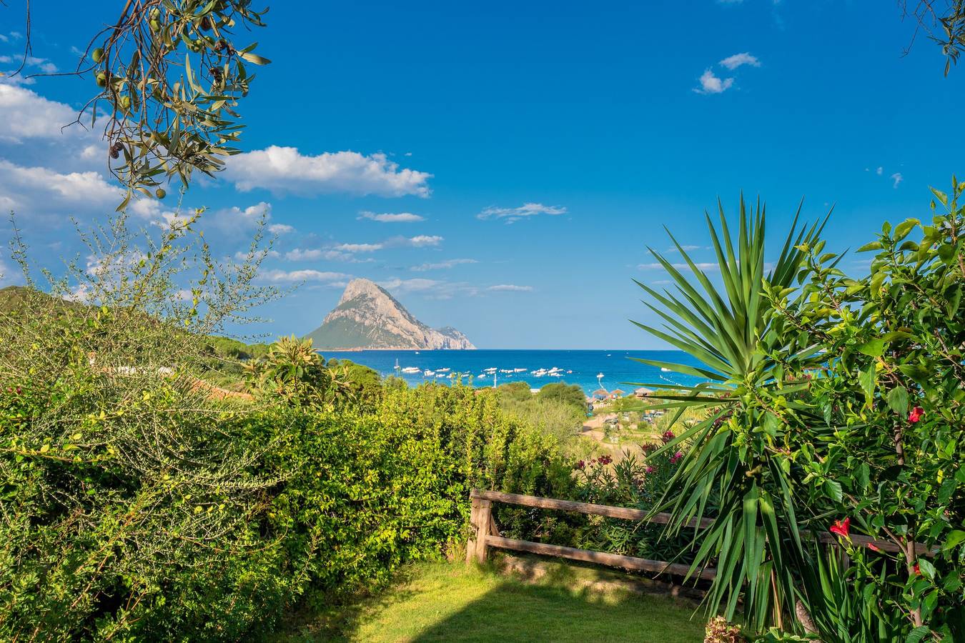 Petite maison Porto Taverna, à 80 m de la plage, avec terrasse privée et jardin in Porto Taverna, Loiri Porto San Paolo