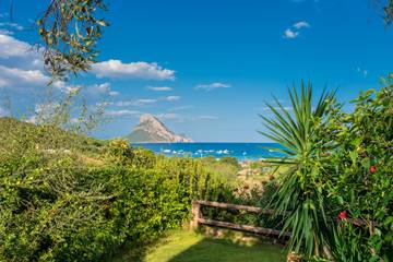 Agriturismo per 6 Persone in Loiri Porto San Paolo, Olbia-Tempio, Foto 2