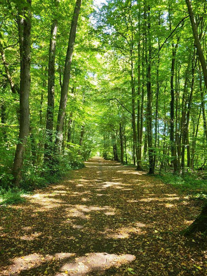 Gîte pour 4 personnes, avec terrasse à Croissy-Beaubourg - 3