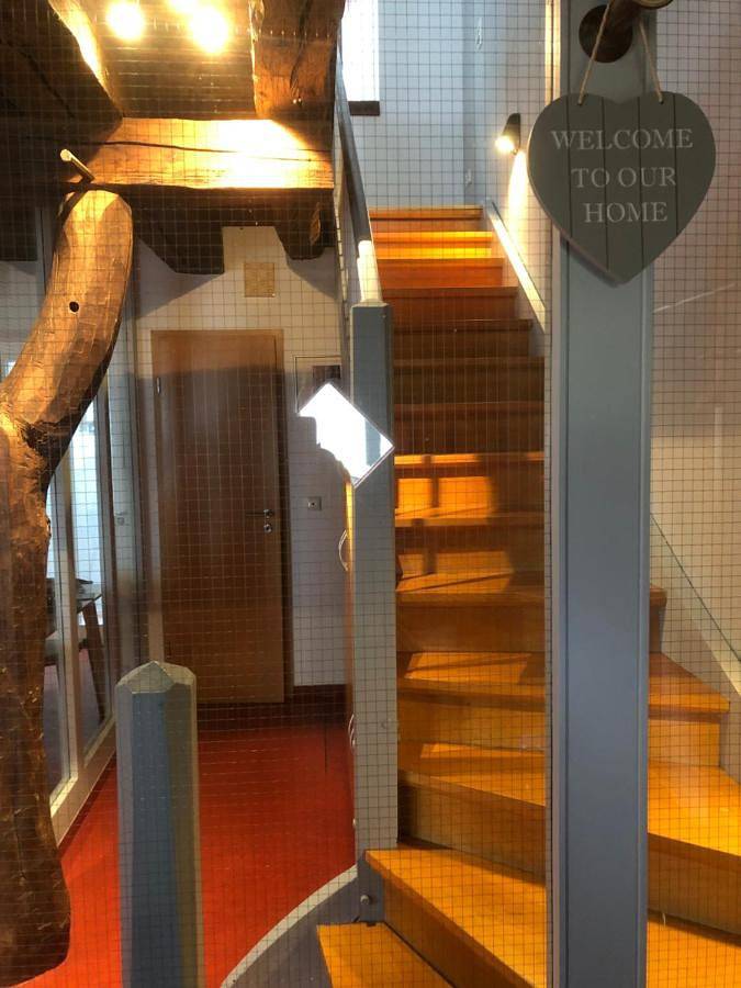 Charmantes Fachwerkhaus in der Innenstadt in Minden, Kreis Minden-Lübbecke