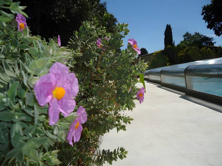 Maison de vacances pour 4 personnes, avec jardin, animaux acceptés dans la Drôme - 4