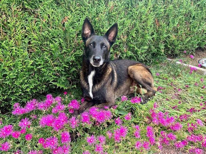 Location de vacances pour 4 personnes, avec jardin et terrasse, animaux acceptés dans Bagneux (Indre) - 4