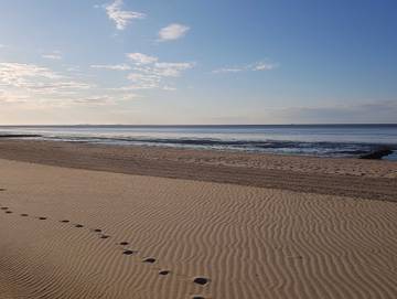 Ferienwohnung für 6 Personen in Cuxhaven, Bremerhaven Cuxhaven, Bild 4