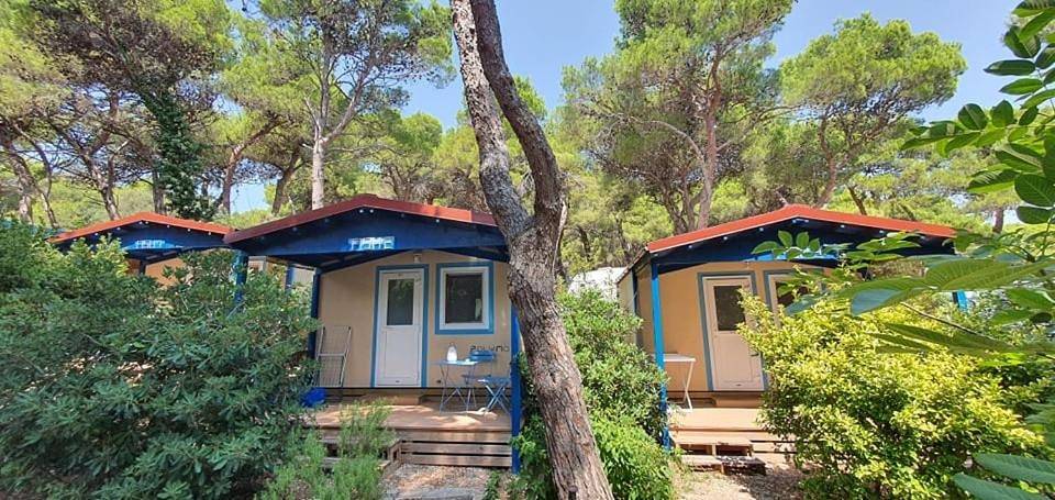 Gîte pour 4 personnes, avec terrasse, animaux acceptés à Premantura - 2