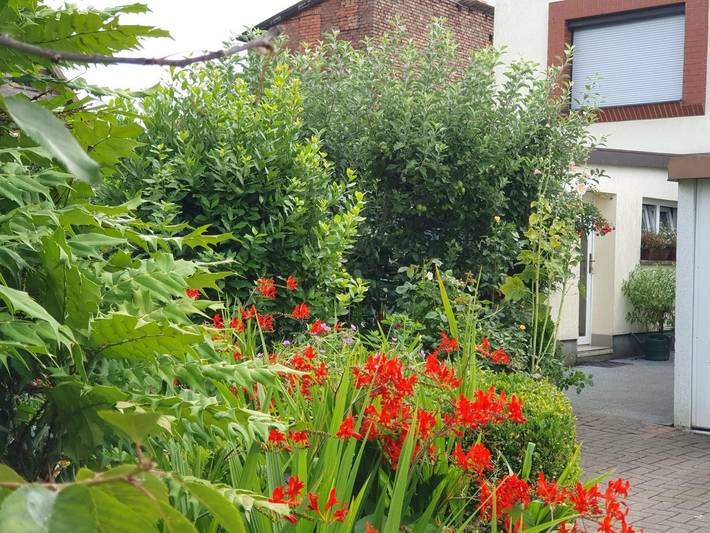 Ferienwohnung für 2 Personen, mit Garten und Seeblick sowie Ausblick in Ribnitz-Damgarten - 4