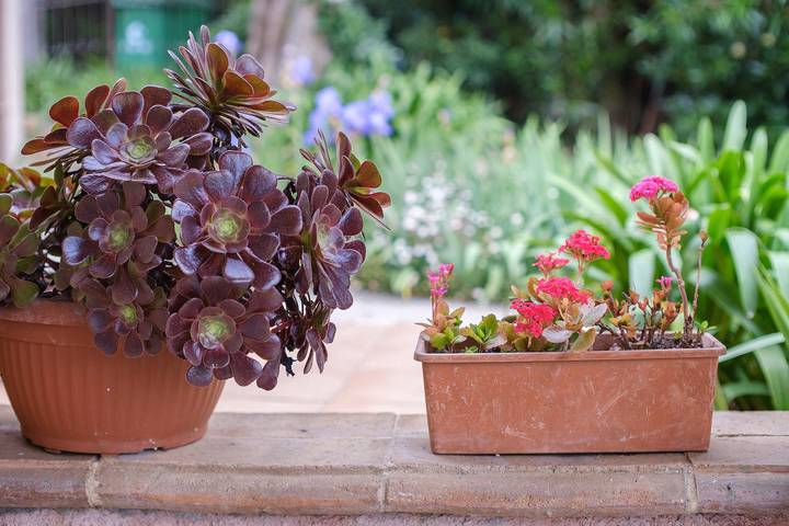 Chambre d’hôte pour 2 personnes, avec jardin dans les Alpes maritimes - 4