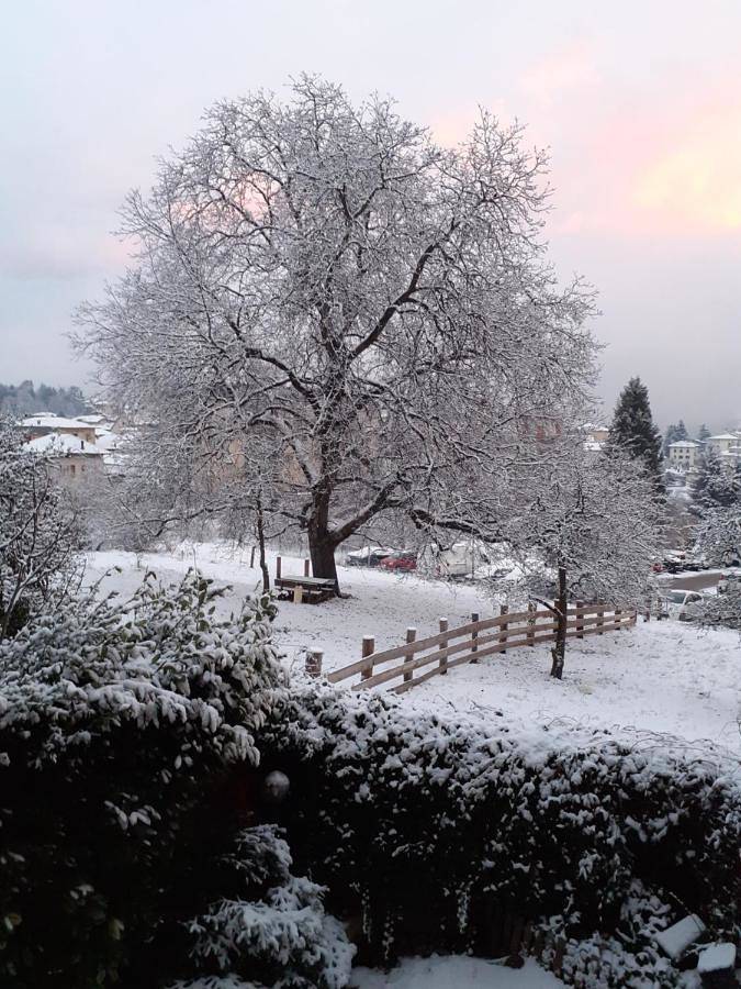 Double or Twin Room with Terrace in Cles, Massif de Brenta