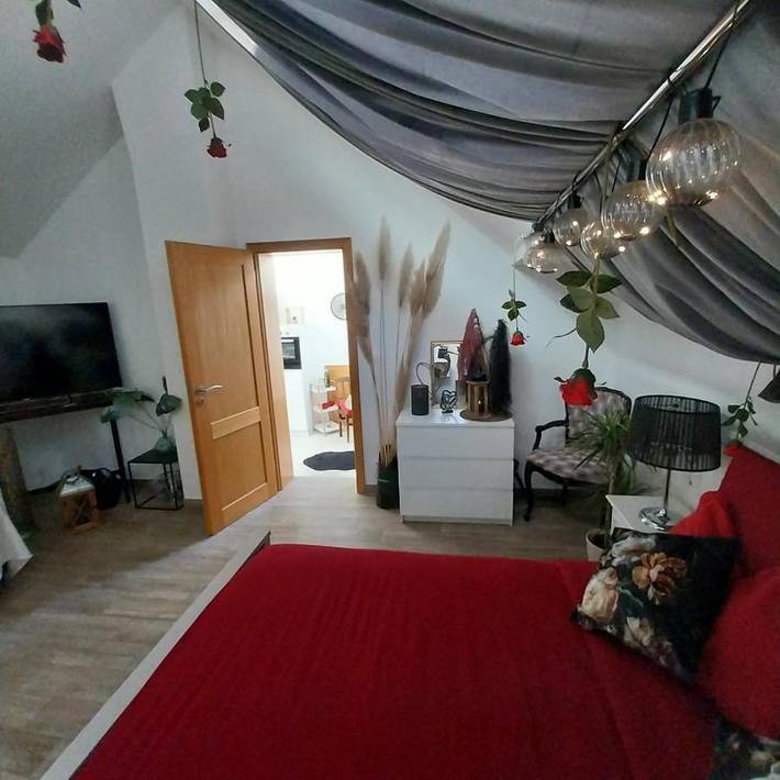 Chambre d’hôte pour 3 personnes, avec jardin et vue, animaux acceptés en Alsace - 3