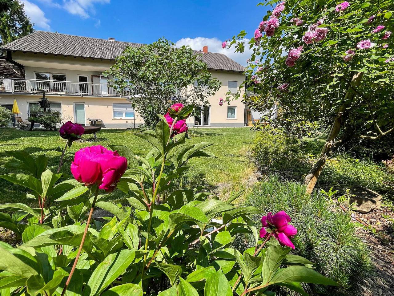 Ganze Ferienwohnung, Die Wohlfühl-Fewo in Bockenheim an der Weinstraße, Saar-Nahe-Bergland