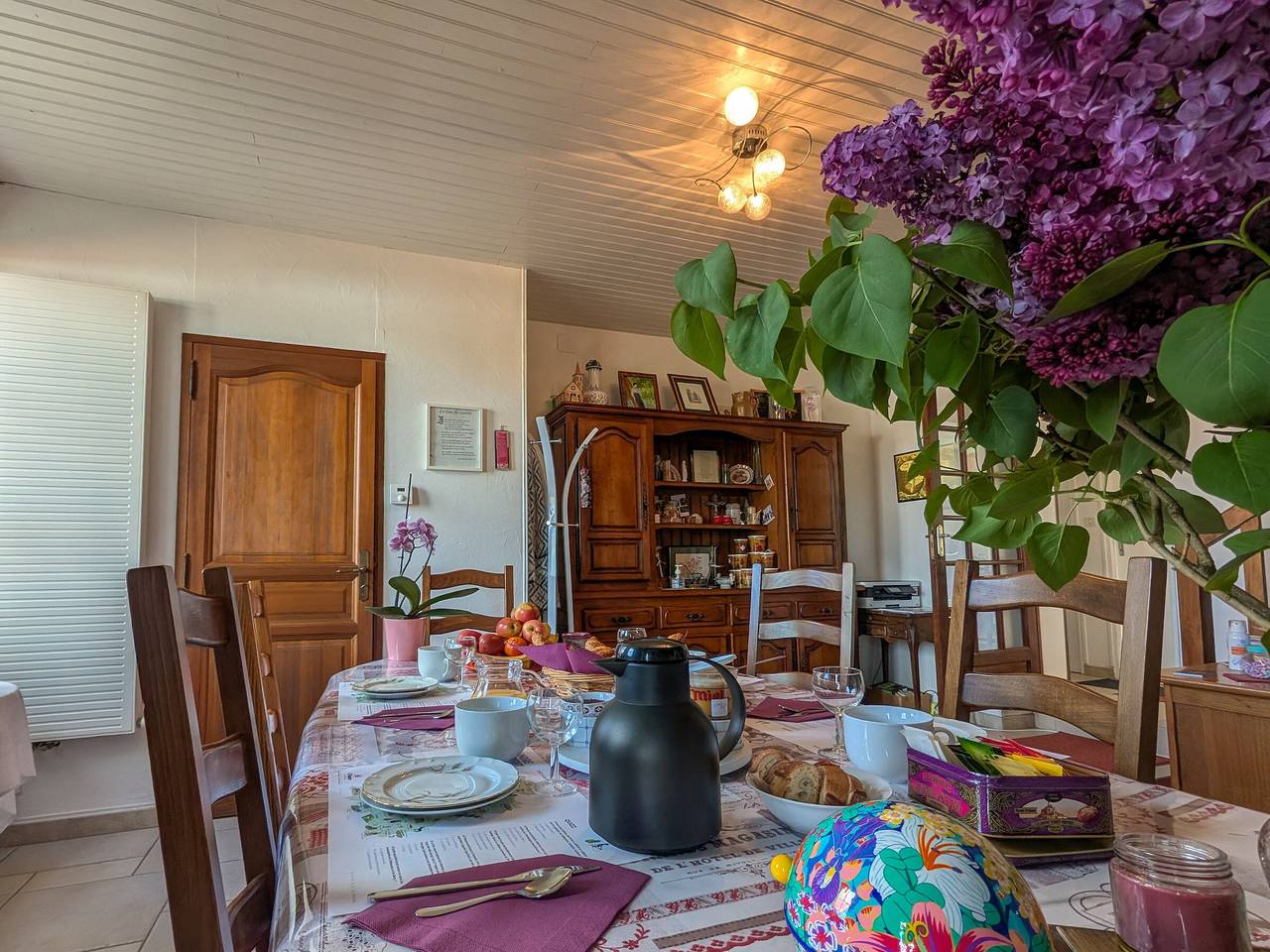 Chambres d'hôtes avec jardin près des châteaux de la Loire in Châtillon-sur-Indre, Région de Châteauroux