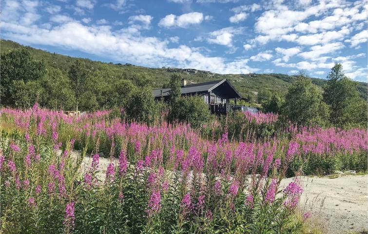 Location de vacances pour 7 personnes, avec Terrasse et Jardin dans Eidfjord