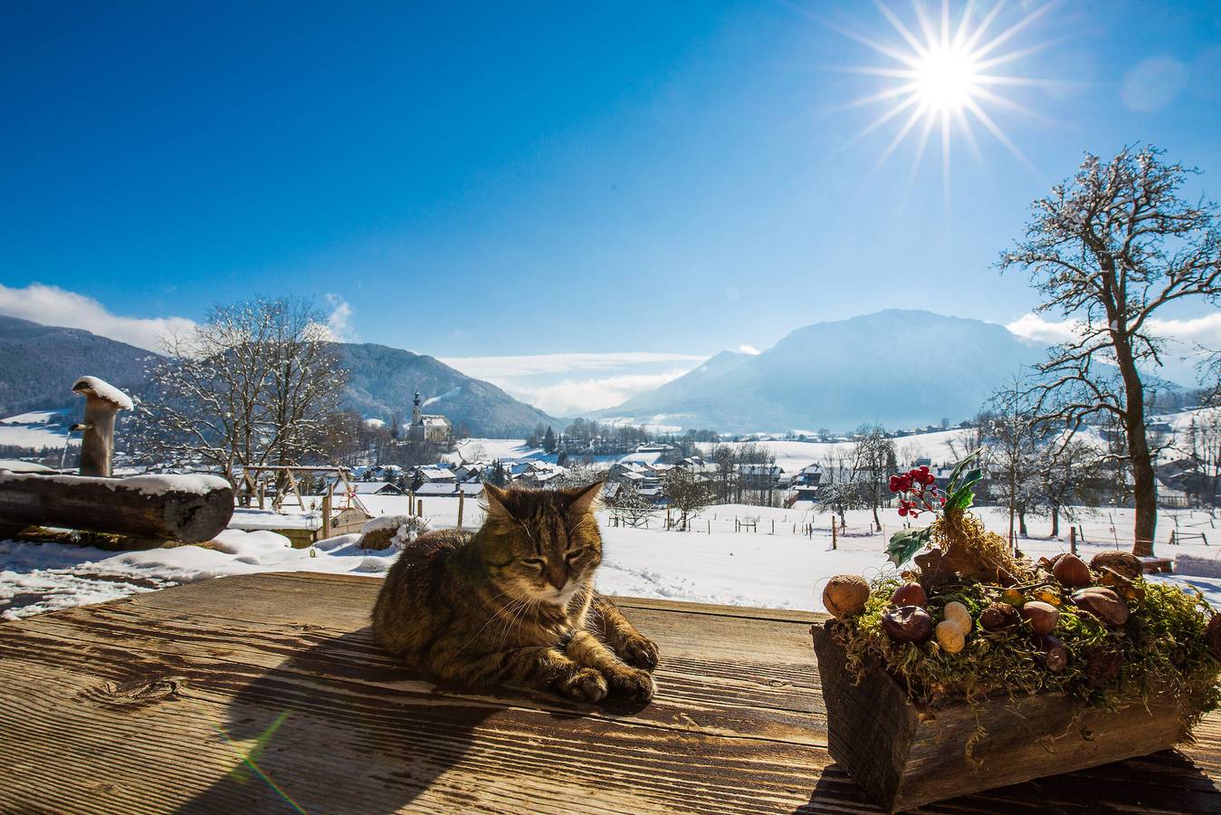 Ganze Ferienwohnung, Langerbauer-Hof inkl. Chiemgaukarte - Ferienwohnung Berg Stüberl, 65 qm, Balkon, 2 sep. Schlafzimmer, max. 4 Pers. in Ruhpolding, Bayerische Alpen