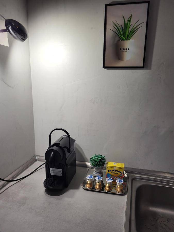 Ganze Wohnung, Apartmán Gabriela in Budweis, Budweis und Umgebung