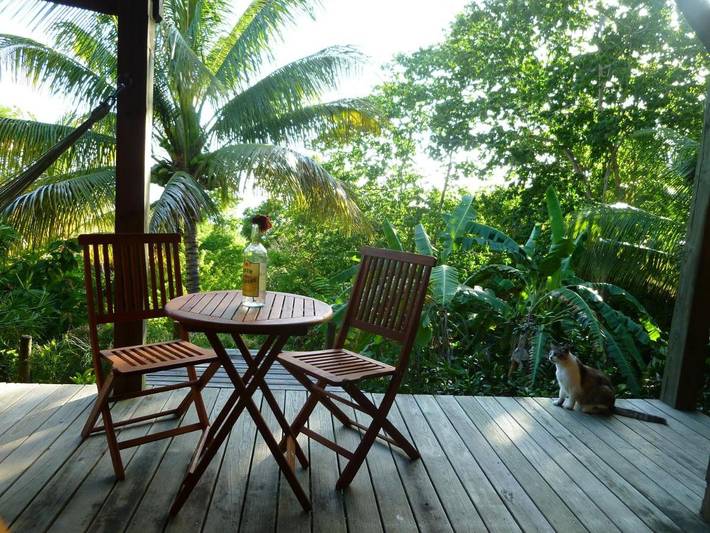 Chambre d’hôte pour 2 personnes, avec piscine ainsi que vue et jardin en Guadeloupe - 2