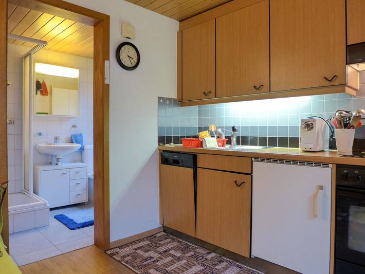 Ganze Wohnung, Erika in Meiringen, Verwaltungskreis Interlaken-Oberhasli