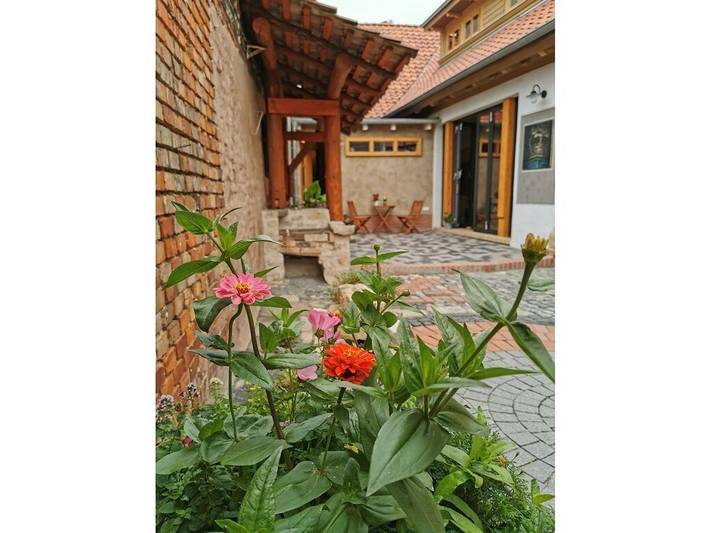 Ferienhaus für 12 Personen, mit Terrasse und Sauna in Blankenburg - 3