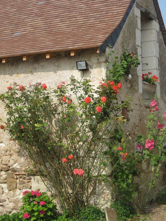 Gîte pour 3 personnes, avec terrasse et jardin à Saint-Avertin - 4