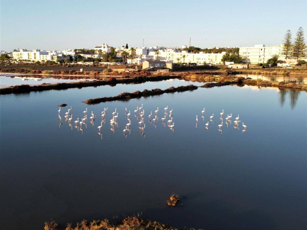 Moinhos das Marés in Fuseta, Moncarapacho