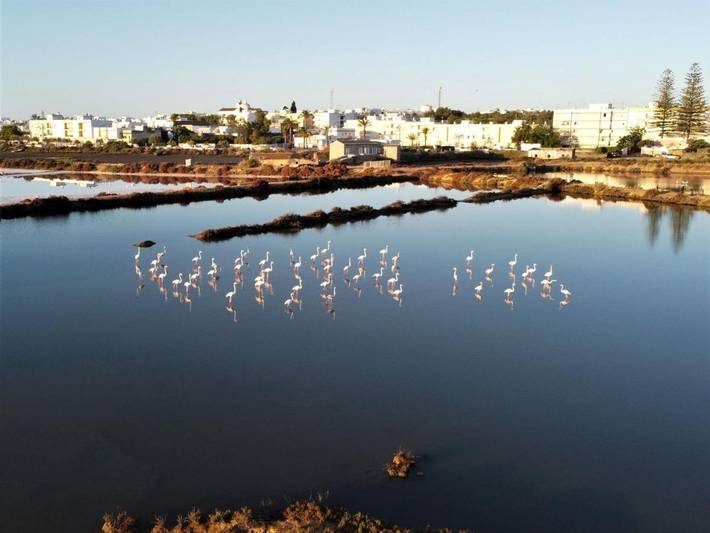 Maison d’hôte pour 2 personnes, avec vue et jardin en Algarve - 3