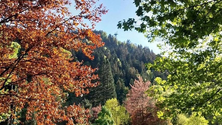 Gîte for 4 people, with view and garden - 1