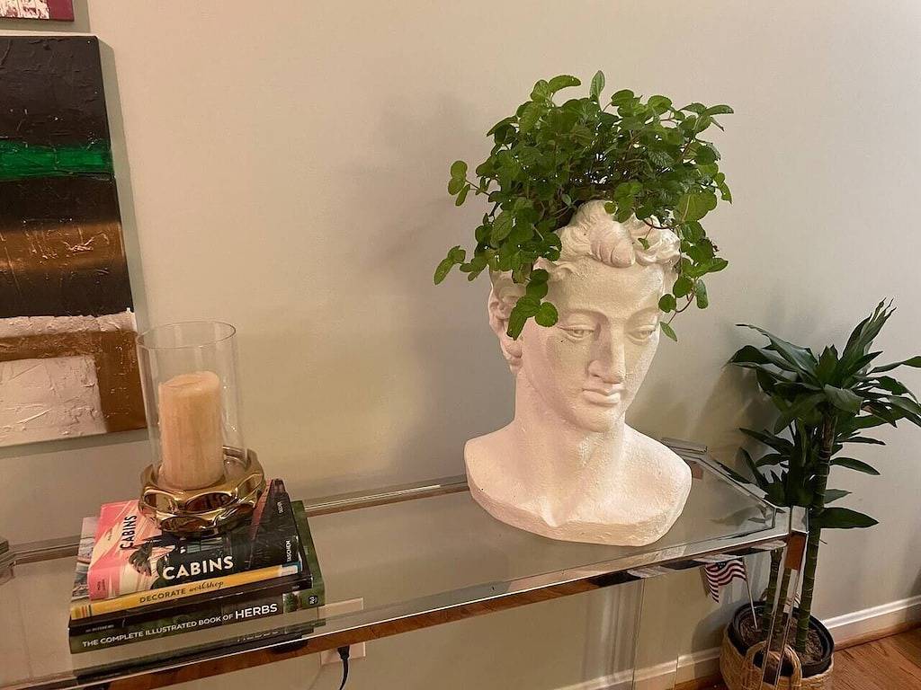 Old Town Escape @ Topshelfstays (4 blocks metro, walkable, peloton bike) in Alexandria (VA), Alexandria City