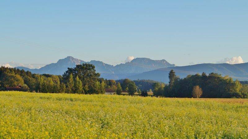 Bauernhof für 5 Personen, mit Garten am Waginger See - 3