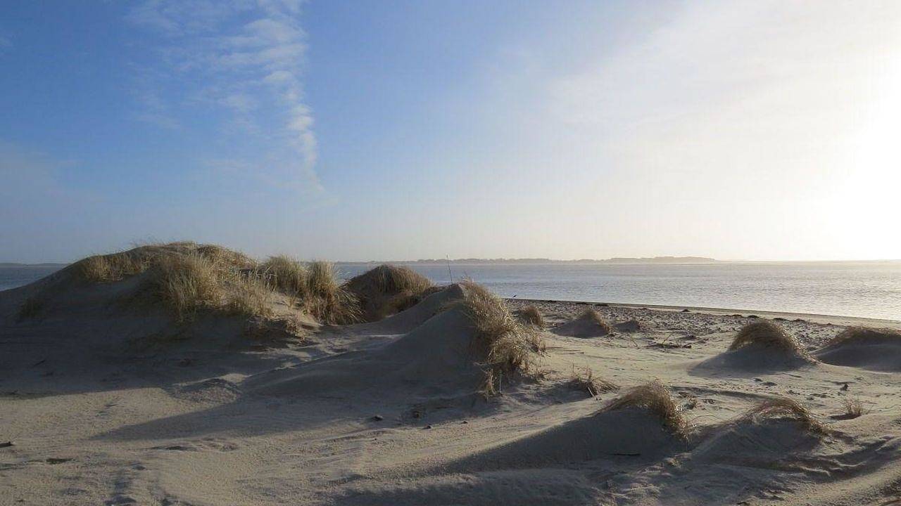 Ganze Ferienwohnung, Ferienwohnung für 4 Personen (38 m²) in Norddorf in Norddorf, Amrum