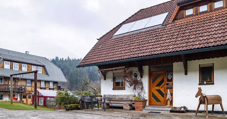 Gîte pour 4 personnes, avec jardin, adapté aux familles à Schramberg - 4