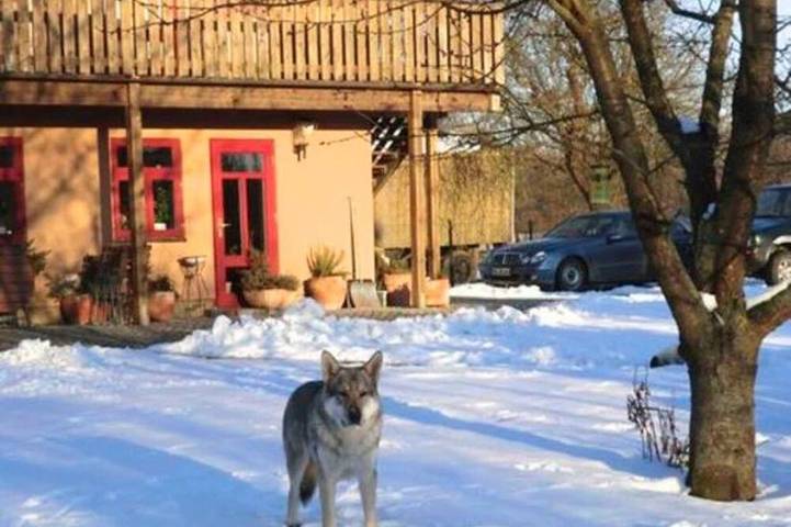 Agriturismo für 4 Personen, mit Sauna und Garten in Penzlin - 4