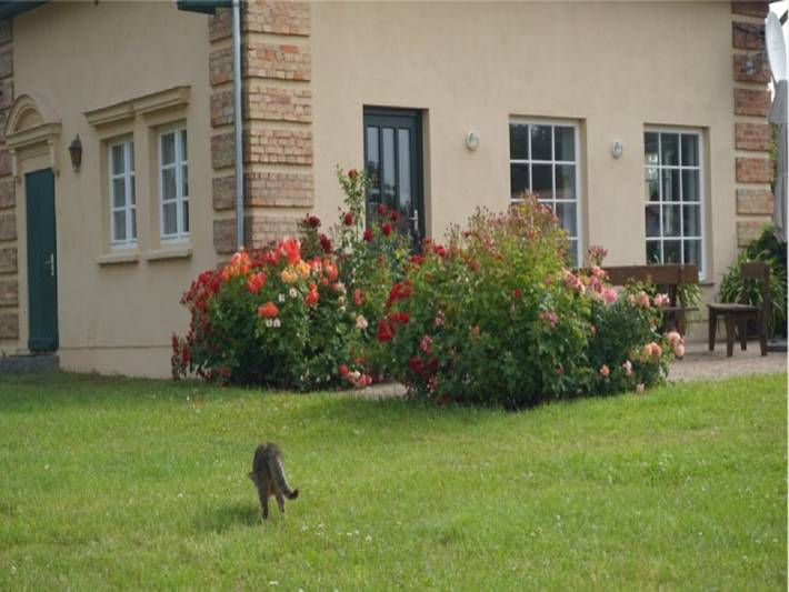 Ferienhaus für 4 Personen, mit Garten in Rostock und Umgebung - 3