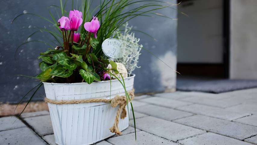 Ferienwohnung für 4 Personen, mit Garten