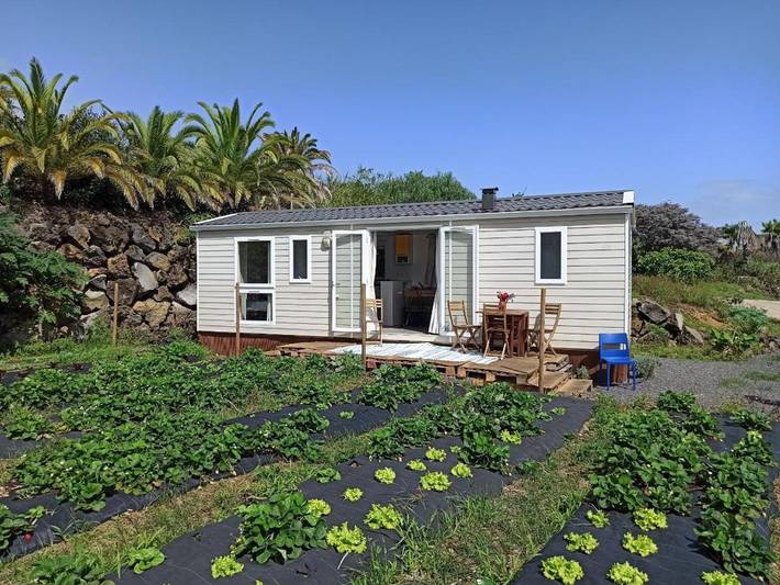 Camping pour 4 personnes, avec vue ainsi que terrasse et jardin aux Canaries - 3