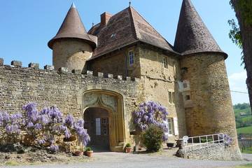 Château pour 7 personnes, avec jardin dans Saône-et-Loire