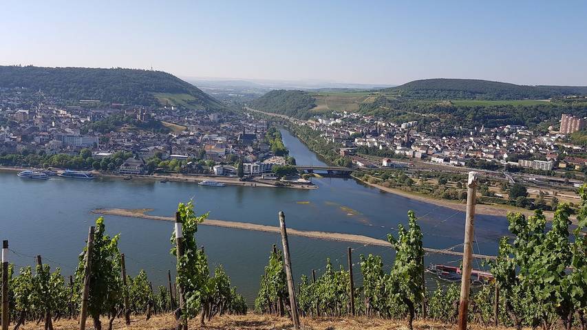 Ferienwohnung für 3 Personen, mit Balkon in Rüdesheim am Rhein - 2