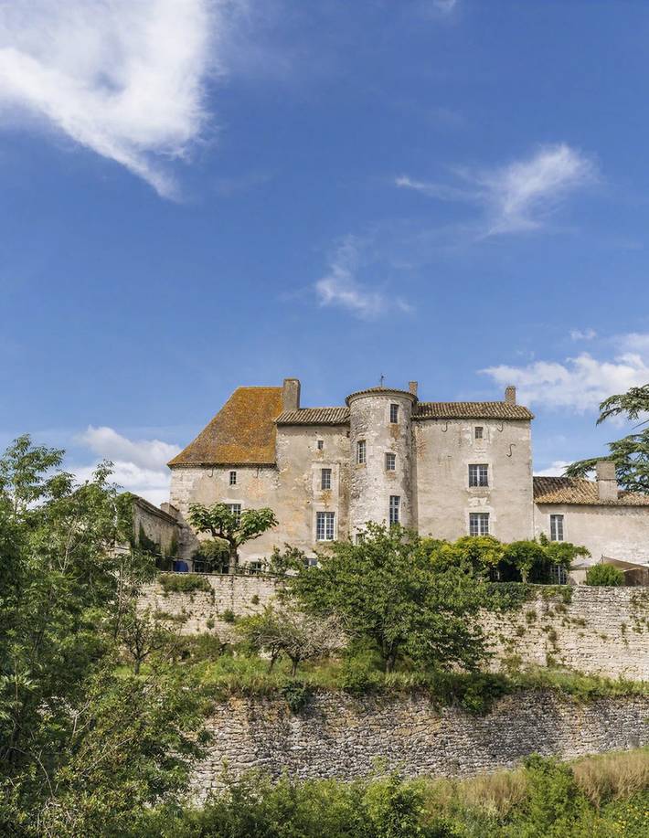 Château pour 26 personnes avec terrasse in Saux, Quercy