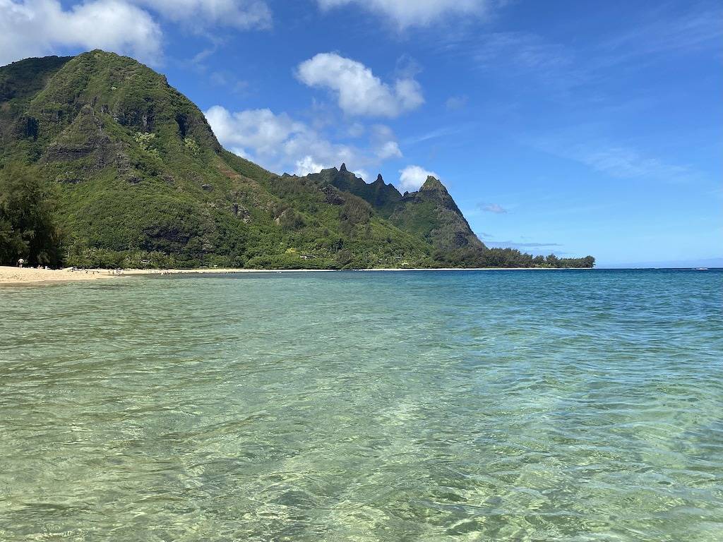 Ganze Wohnung, Charmantes, gemütliches und sauberes Studio mit tollen Bewertungen !! in Kalihiwai, Hanalei Bay