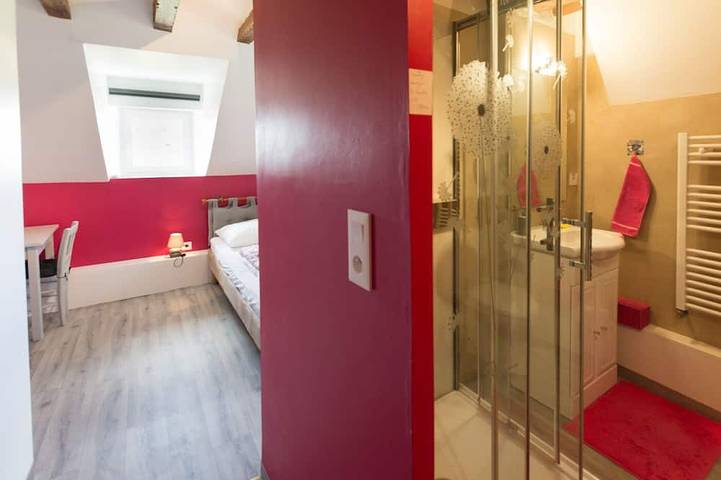 Location de vacances pour 11 personnes, avec jardin et terrasse à Savigné-sous-le-Lude - 3